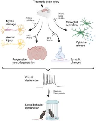 A Pro-social Pill? The Potential of Pharmacological Treatments to Improve Social Outcomes After Pediatric Traumatic Brain Injury